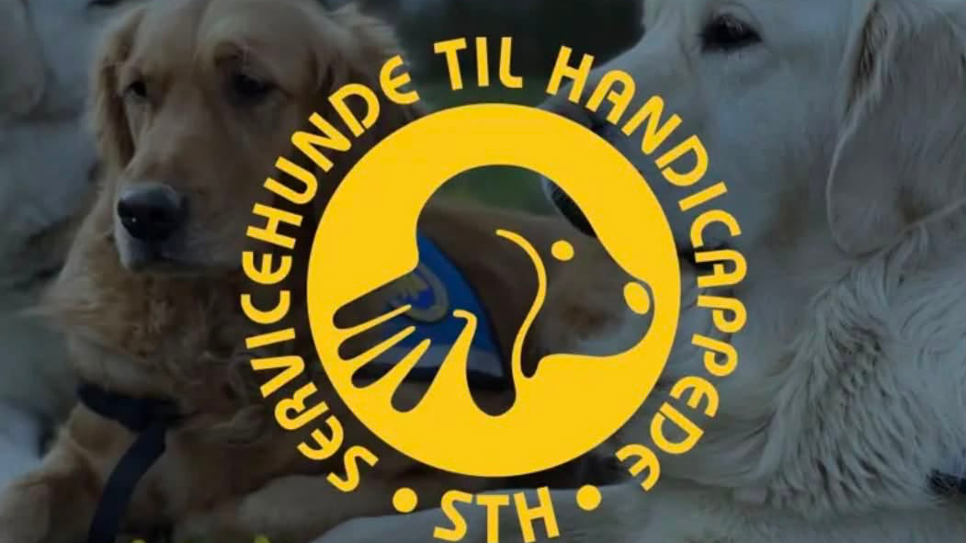 Gå en tur med STH i København eller Århus - 19. september 2026
