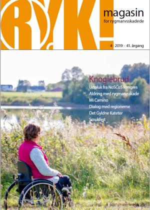 RYK! 2019 Nr. 4 download