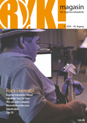 RYK! 2018 Nr. 3 download