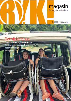 RYK! 2021 Nr. 4 download