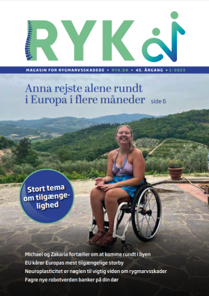 RYK! 2022 Nr. 3 download