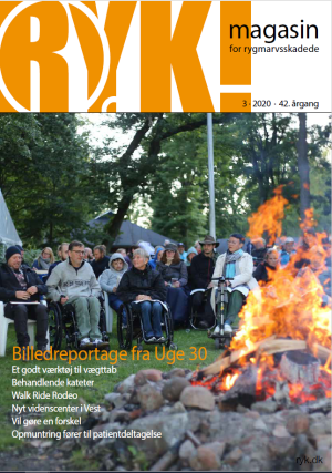 RYK! 2020 Nr. 3 download