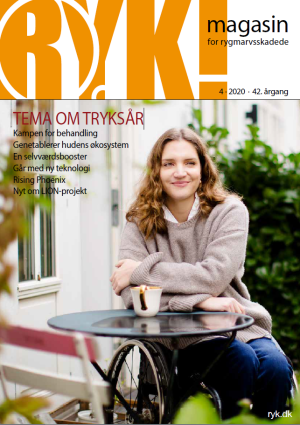 RYK! 2020 Nr. 4 download