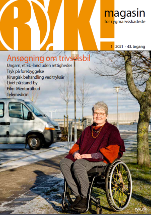 RYK! 2021 Nr. 1 download